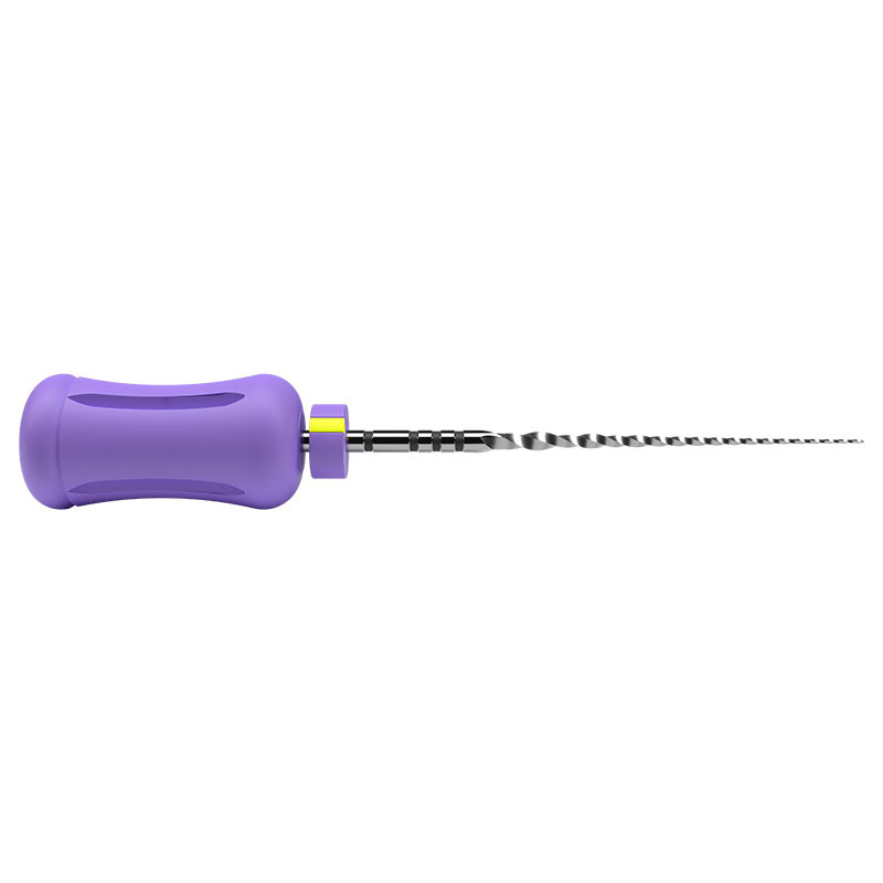Lima Protaper Ultimate Hand Slider 25 mm 6unid. - Dentsply Sirona