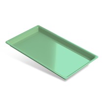 Bandeja para Esterilização Plástica 22,4x12,8x1,4cm Média Verde Claro - Indusbello