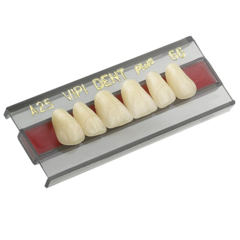 Dente Vipi Dent Anterior/Superior 3P Cor 66 - VIPI