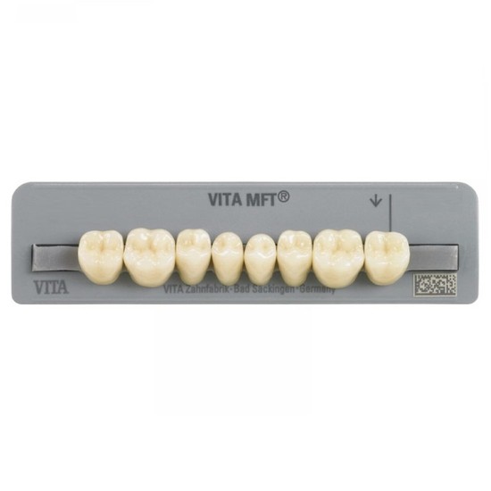 Dente Mft Posterior Inferior Pl33 3M2 A3/D3 8Unid. - Vita