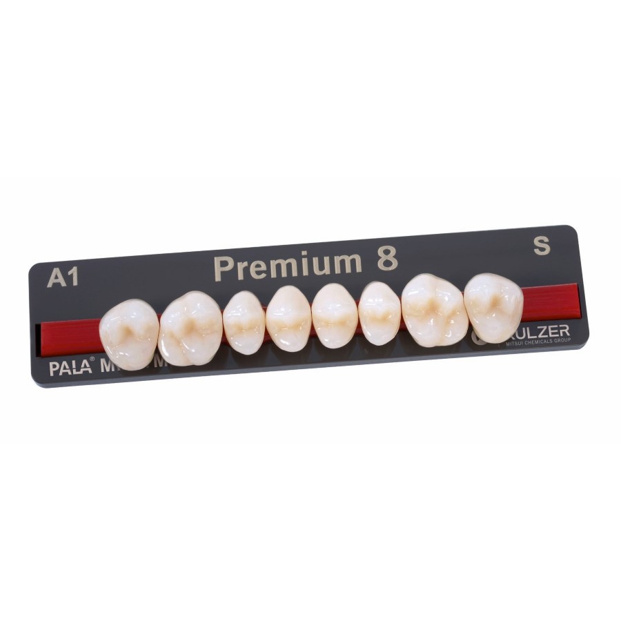Dente Premium ml B1 Inferior Posterior - Kulzer
